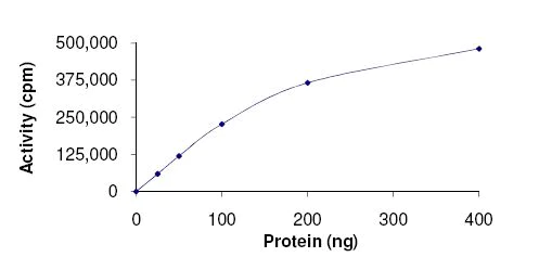 Functional Studies - Recombinant human IKK beta protein (Active) (AB177584)