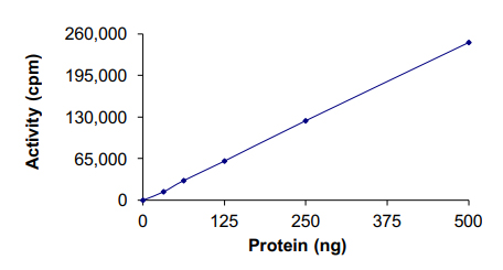 Functional Studies - Recombinant human IKK beta protein (Active) (AB177584), expandable thumbnail