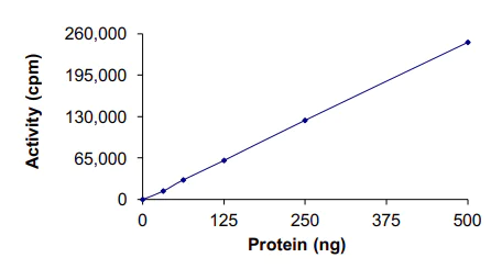 Functional Studies - Recombinant human IKK beta protein (Active) (AB177584)