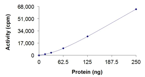 Functional Studies - Recombinant human IKK beta protein (Active) (AB217831)