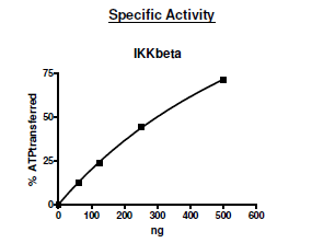 Recombinant human IKK beta protein (Active)