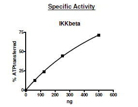 Functional Studies - Recombinant human IKK beta protein (Active) (AB271550)