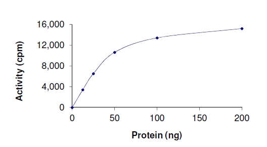 Functional Studies - Recombinant human IKKi/IKKe protein (AB201367), expandable thumbnail