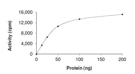 Functional Studies - Recombinant human IKKi/IKKe protein (AB201367)