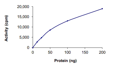 Functional Studies - Recombinant human IKKi/IKKe protein (AB201367)