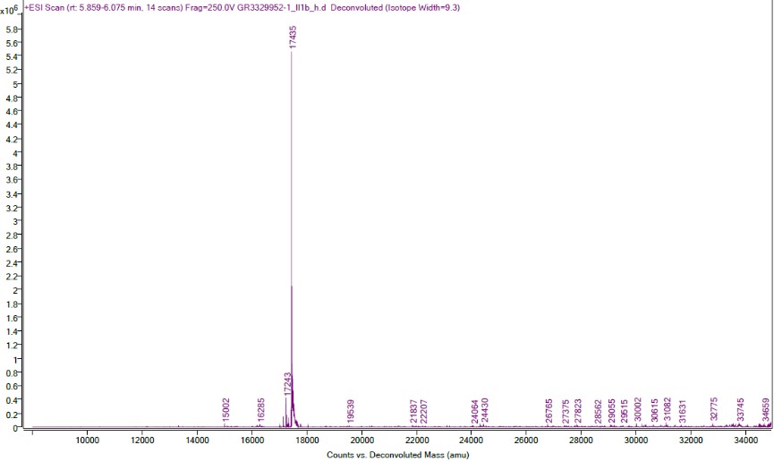Mass Spectrometry - Recombinant human IL-1 beta protein (Active) (AB259387), expandable thumbnail