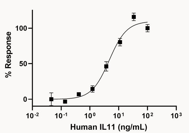 Functional Studies - Recombinant human IL-11 protein (Active) (AB281801), expandable thumbnail