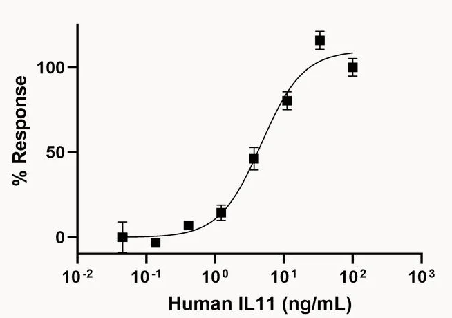 Functional Studies - Recombinant human IL-11 protein (Active) (AB281801)