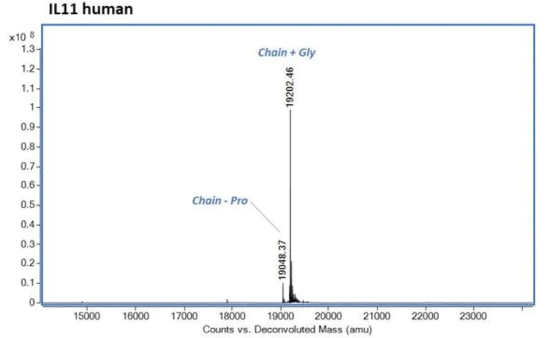 Mass Spectrometry - Recombinant human IL-11 protein (Active) (AB281801)
