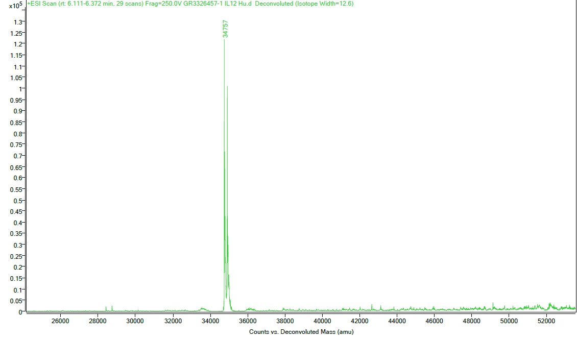 Mass Spectrometry - Recombinant human IL-12 p70 protein (Active) (AB259418)
