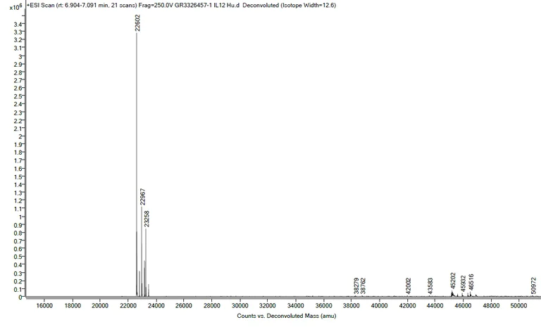 Mass Spectrometry - Recombinant human IL-12 p70 protein (Active) (AB259418)