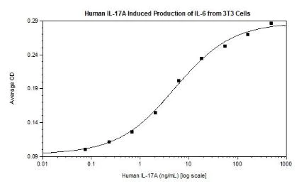 Functional Studies - Recombinant human IL-17A protein (Active) (AB256041)