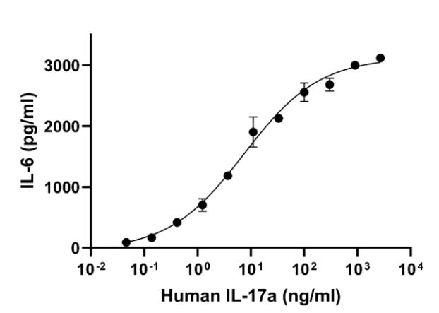 Functional Studies - Recombinant human IL-17A protein (Active) (AB282392), expandable thumbnail