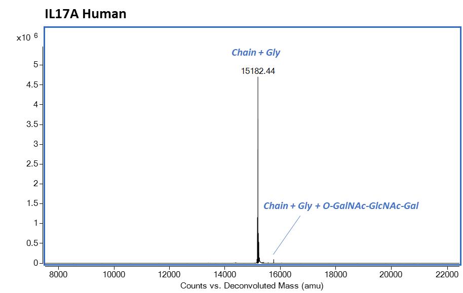 Mass Spectrometry - Recombinant human IL-17A protein (Active) (AB282392), expandable thumbnail