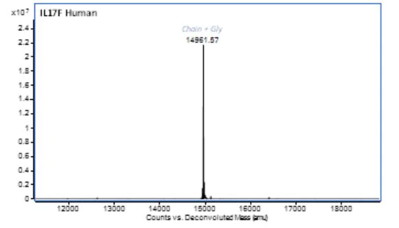 Mass Spectrometry - Recombinant Human IL-17F protein (Active) (AB283921)
