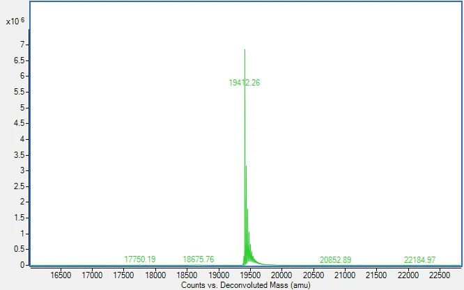 Mass Spectrometry - Recombinant Human IL-18 Protein (His tag) (Active) (AB310799)