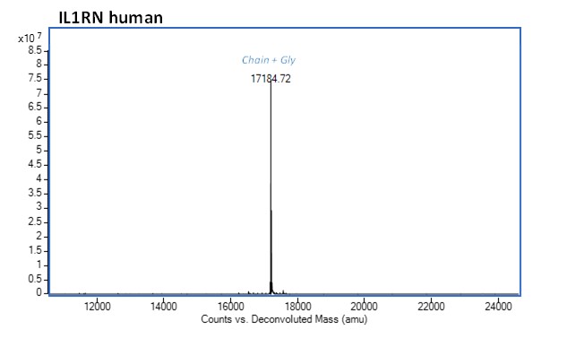 Mass Spectrometry - Recombinant human IL-1RA protein (Active) (AB283447), expandable thumbnail