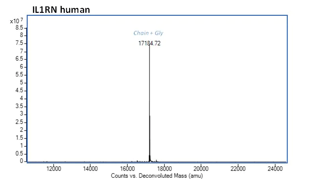 Mass Spectrometry - Recombinant human IL-1RA protein (Active) (AB283447)
