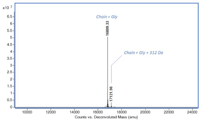 Mass Spectrometry - Recombinant human IL-22 protein (Active) (AB280331), expandable thumbnail