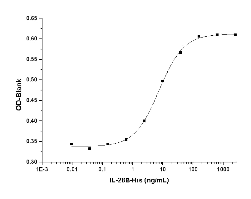 Functional Studies - Recombinant human IL-28B protein (His tag) (AB276441)
