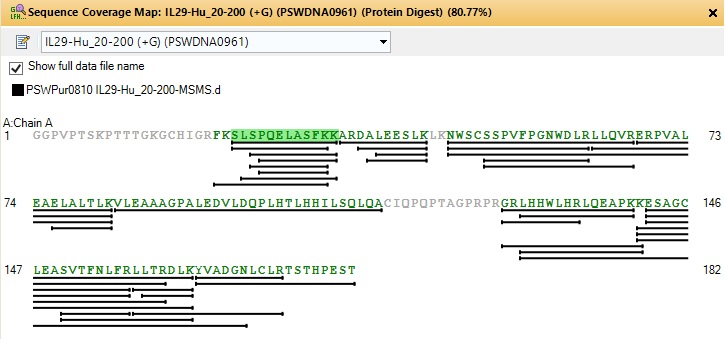 Recombinant Human IL-29/IFN-lambda 1 Protein