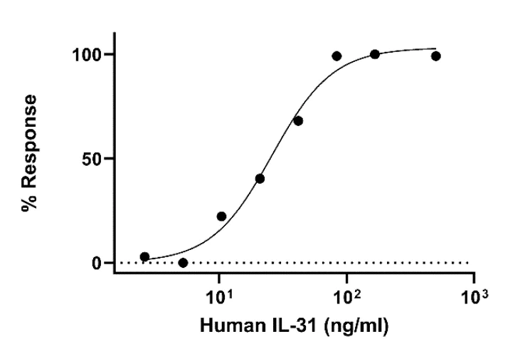 Biological Activity - Recombinant Human IL-31 protein (Active) (AB283936)