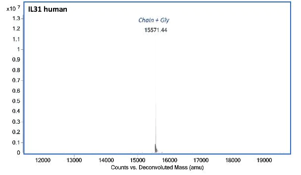 Mass Spectrometry - Recombinant Human IL-31 protein (Active) (AB283936)