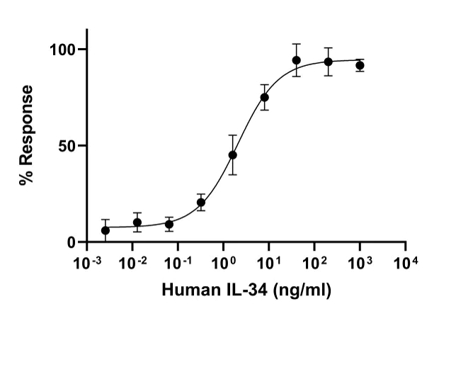 Functional Studies - Recombinant Human IL-34 protein (Active) (AB288525)