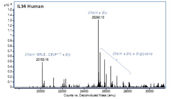 Mass Spectrometry - Recombinant Human IL-34 protein (Active) (AB288525)