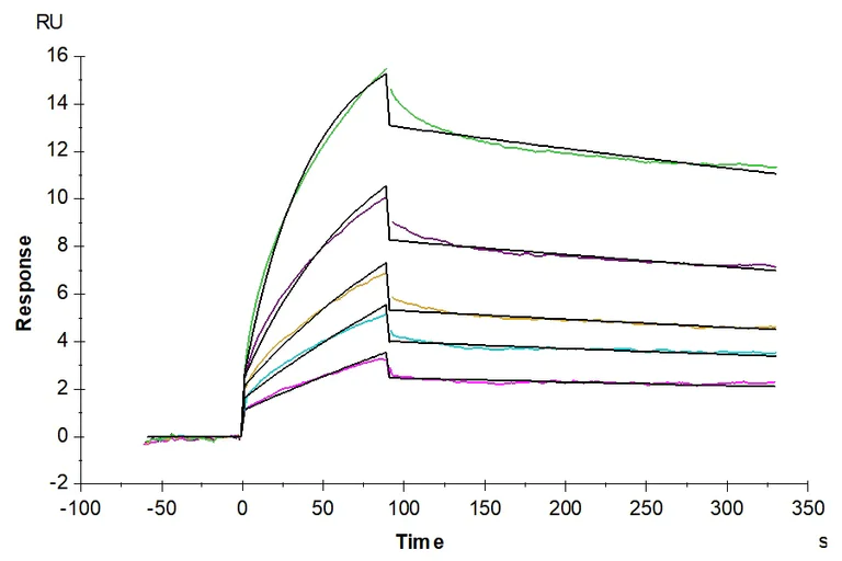 Biological Activity - Recombinant Human IL-37 (Active) protein (AB316043)