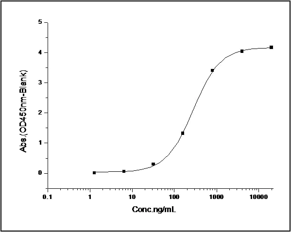 Functional Studies - Recombinant human IL-3RB protein (His tag) (AB276287)