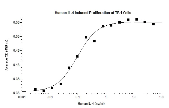 Functional Studies - Recombinant human IL-4 protein (Active) (AB269147)