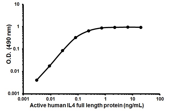 Recombinant human IL-4 protein (Animal Free)