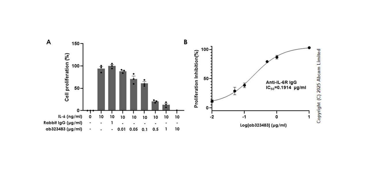 Functional Studies - Recombinant human IL-6 protein (Active) (ab259381), expandable thumbnail