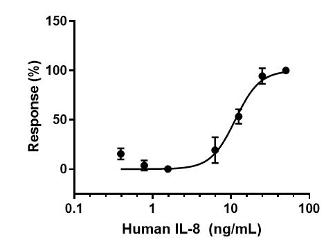 Functional Studies - Recombinant human IL-8 protein (Active) (AB259397), expandable thumbnail