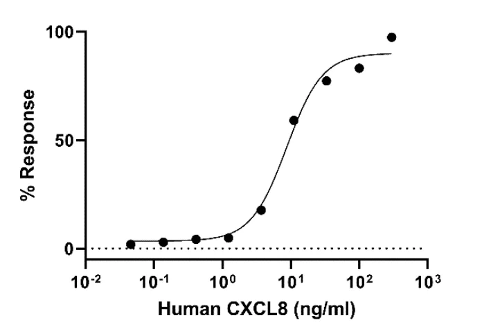 Biological Activity - Recombinant Human IL-8 protein (Active) (AB281790)