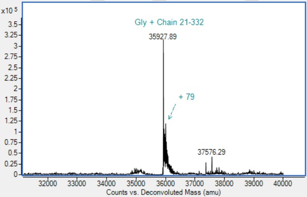 Recombinant Human IL1R1 Protein (Active)