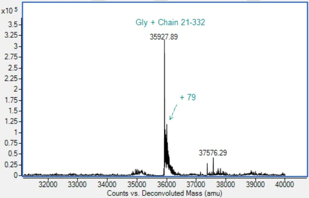 Mass Spectrometry - Recombinant Human IL1R1 Protein (Active) (AB290103)