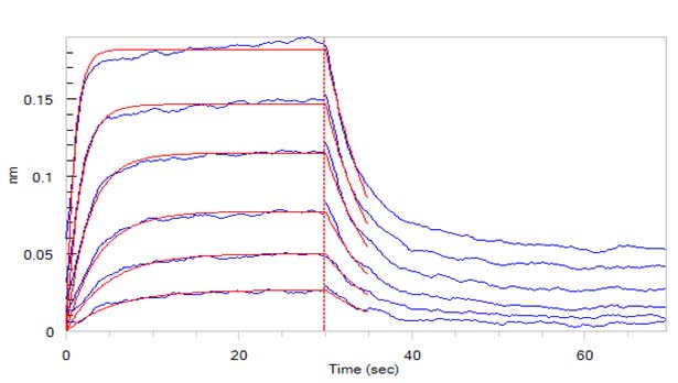 Functional Studies - Recombinant human IL2 Receptor beta/p75 protein (Active) (AB174003), expandable thumbnail