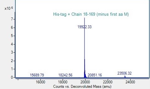 Mass Spectrometry - Recombinant human IL36 gamma/IL-1F9 protein (His Tag) (AB318252), expandable thumbnail