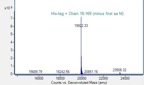 Mass Spectrometry - Recombinant human IL36 gamma/IL-1F9 protein (His Tag) (AB318252)