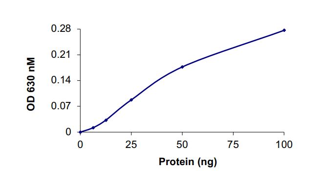 Functional Studies - Recombinant human INPPL1/SHIP-2 protein (Active) (AB268968)