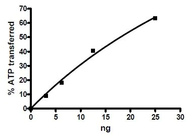 Functional Studies - Recombinant human Insulin Receptor protein (AB80251)