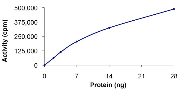 Recombinant human Insulin Receptor protein (Active)