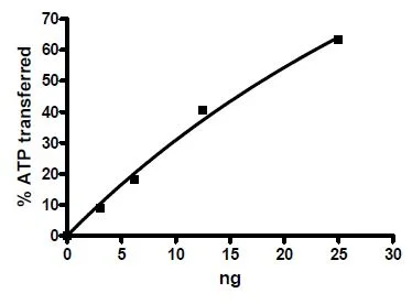Functional Studies - Recombinant human Insulin Receptor protein (GST tag N-Terminus) (AB80251)