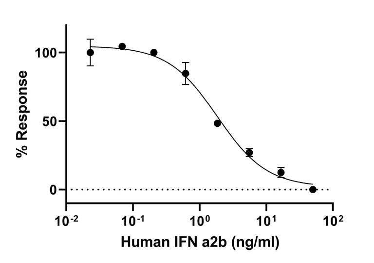 Functional Studies - Recombinant Human Interferon alpha 2b protein (Active) (AB309956)