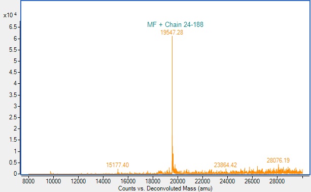 Recombinant Human Interferon alpha 2b protein (Active)