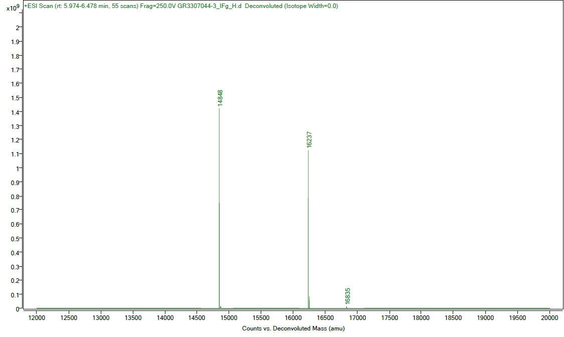 Mass Spectrometry - Recombinant Human Interferon gamma protein (Active) (AB259377), expandable thumbnail