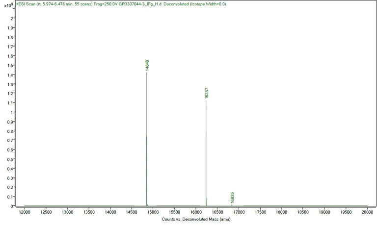 Mass Spectrometry - Recombinant Human Interferon gamma protein (Active) (AB259377)
