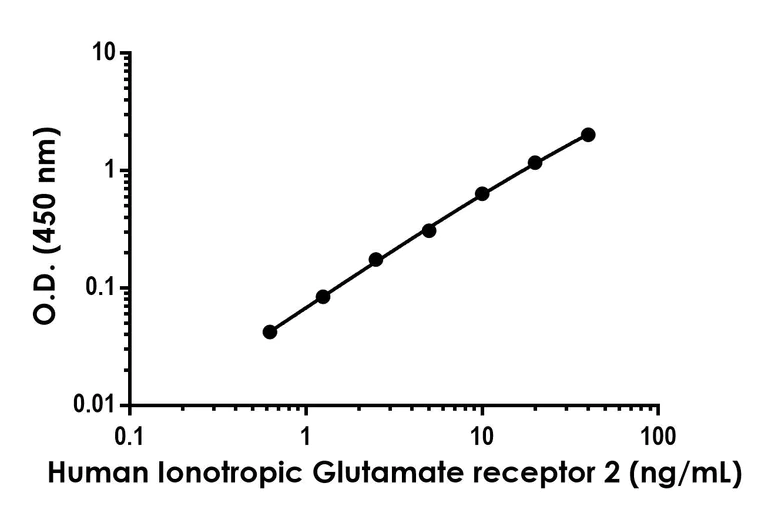 Sandwich ELISA - Recombinant Human Ionotropic Glutamate receptor 2 Protein Standard (His tag) (AB317299)